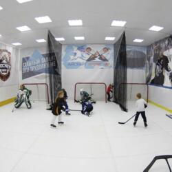 Ледовая арена Айсберг Химки