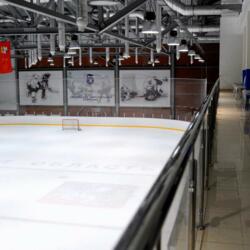 Арена Балашиха им.Ю.Е.Ляпкина