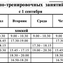 ФОК Олимп в Лысково