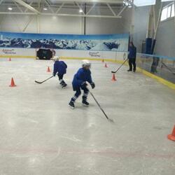 Арена Бобры