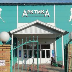 ЛДС Арктика