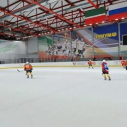 Ледовая арена СОК Триумф
