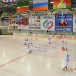 Ледовый дворец Пестрецы Арена