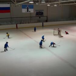 Алекс-Арена