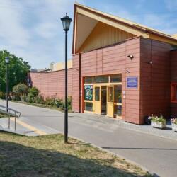 Ледовый дворец Пингвины