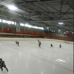 Ледовый дворец Пингвины