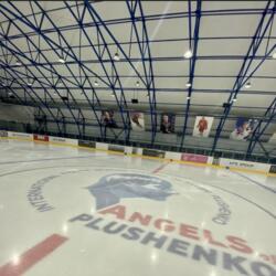 Академия Ангелы Плющенко