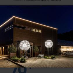 Академия Ангелы Плющенко