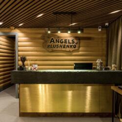 Академия Ангелы Плющенко