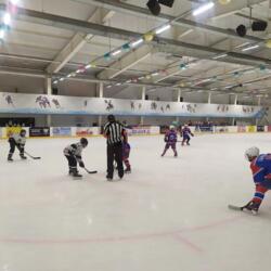 Ледовая арена 