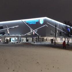 Хоккейный город