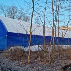 Каток на Сабировской