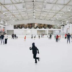 Ледовая Арена 