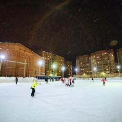 Буревестник