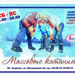 Ледовый каток Льдинка