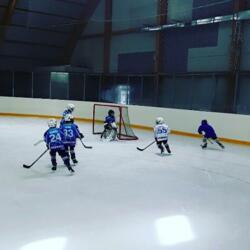 Ледовая арена Ice Тигр