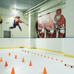 Каток INNOVATION