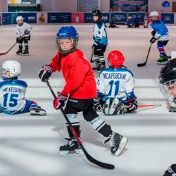 MEGA ICE ТЦ Авиапарк