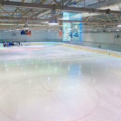 Ледовая арена им. Третьяка