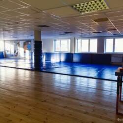 Ледовый дворец в с. Сеченово