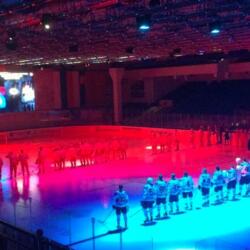 Ледовый хоккейный центр Витязь