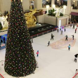 Каток Vegas Крокус-Сити