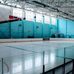 Ледовая Арена Селятино им. Мышкина