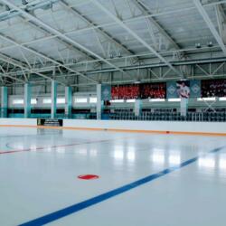 Ледовая Арена Селятино им. Мышкина