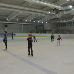 Ледовое поколение