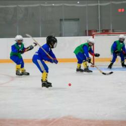 .Ледовая арена им. Касатонова А.В.