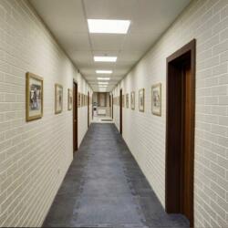 Ледовая арена СНЕЖНЫЙ БАРС