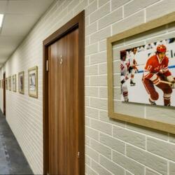 Ледовая арена СНЕЖНЫЙ БАРС