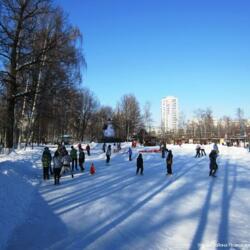 Каток в Лианозовском парке