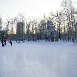 Каток в Лианозовском парке