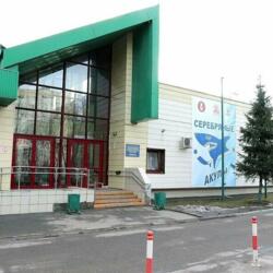 Серебрянные Акулы