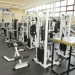 Серебрянные Акулы