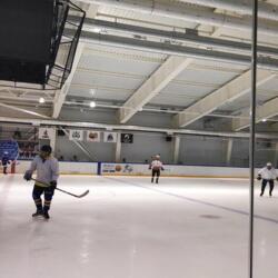 Ледовый дворец имени Анатолия Тарасова