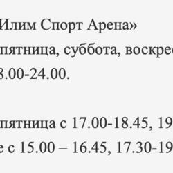 2. Хоккейный корт Илим Спорт Арена