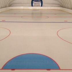 Ледовая арена Динамит