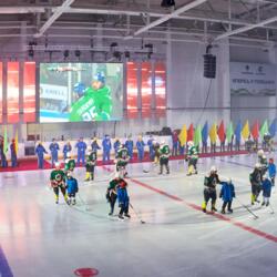 Арена Сапсан