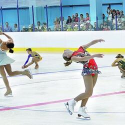 Ледовая арена Серебряный Донец