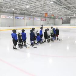 Ледовая арена 