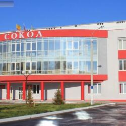 Ледовый дворец Сокол