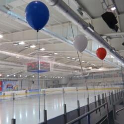 ЛД Ледовое поколение