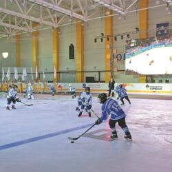 ЛД Роснефть-Арена Новокуйбышевск