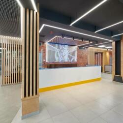 Академия льда