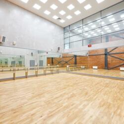 Академия льда