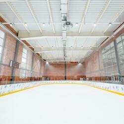 Академия льда