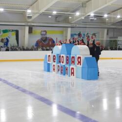 Ледовая арена им. В.М.Боброва г. Моршанск