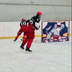 Крытый каток LED